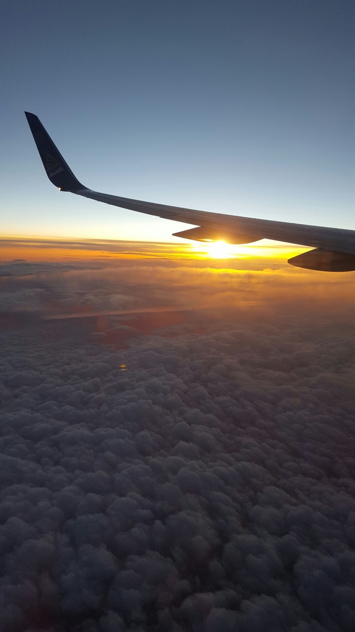 flight
