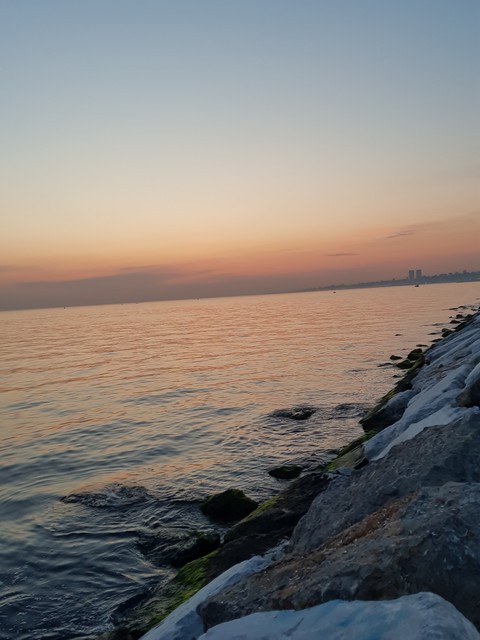 Sea