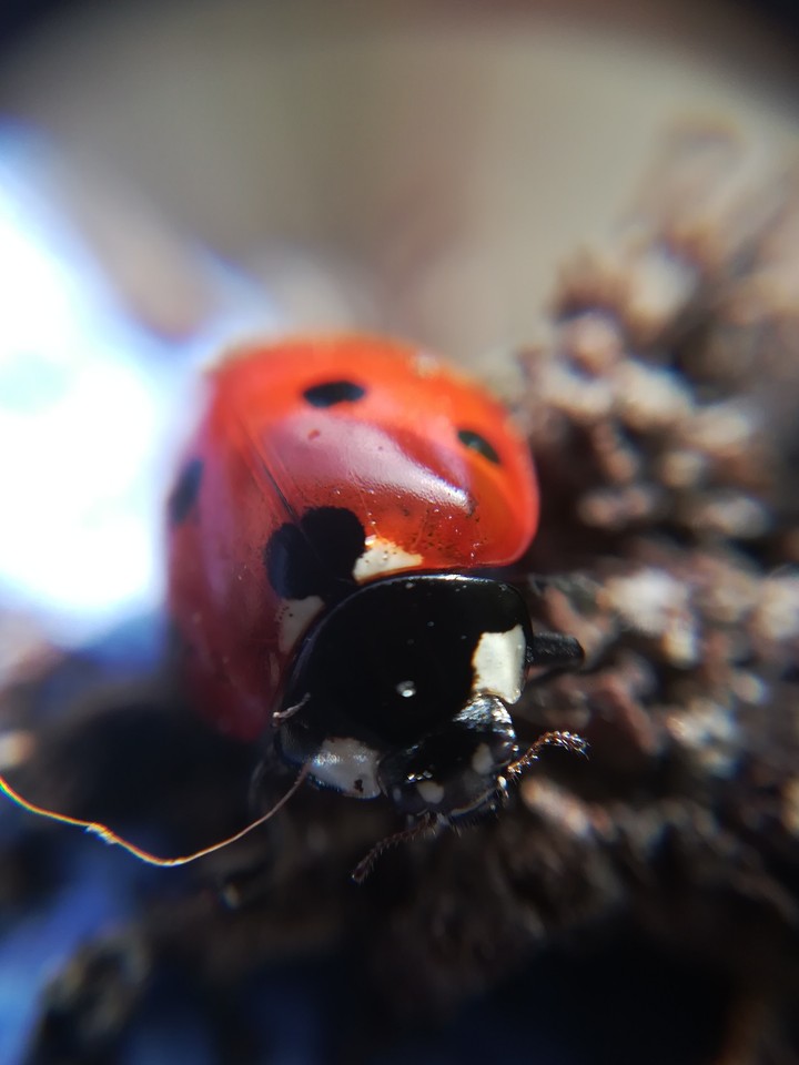 Hello you! 