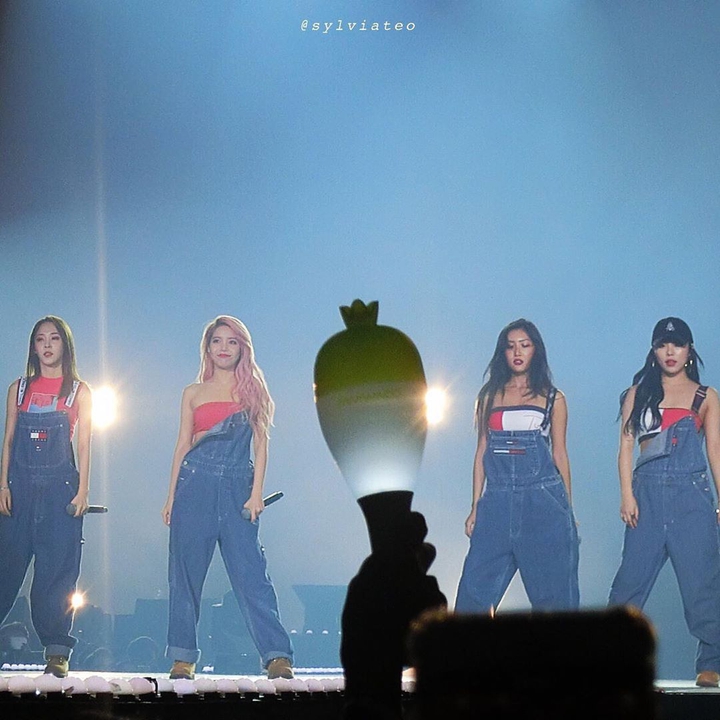 Mamamoo moomoo