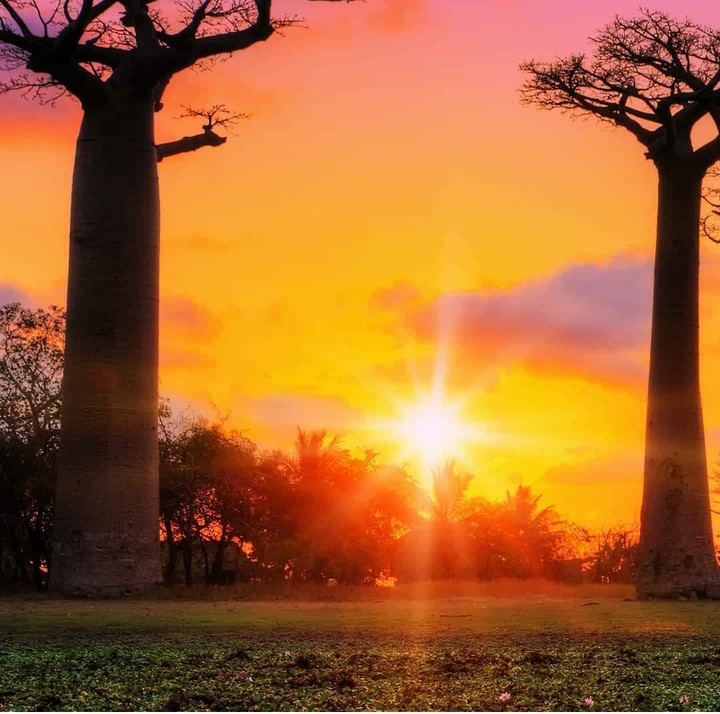 sunset
