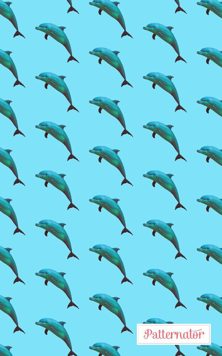 dolphins