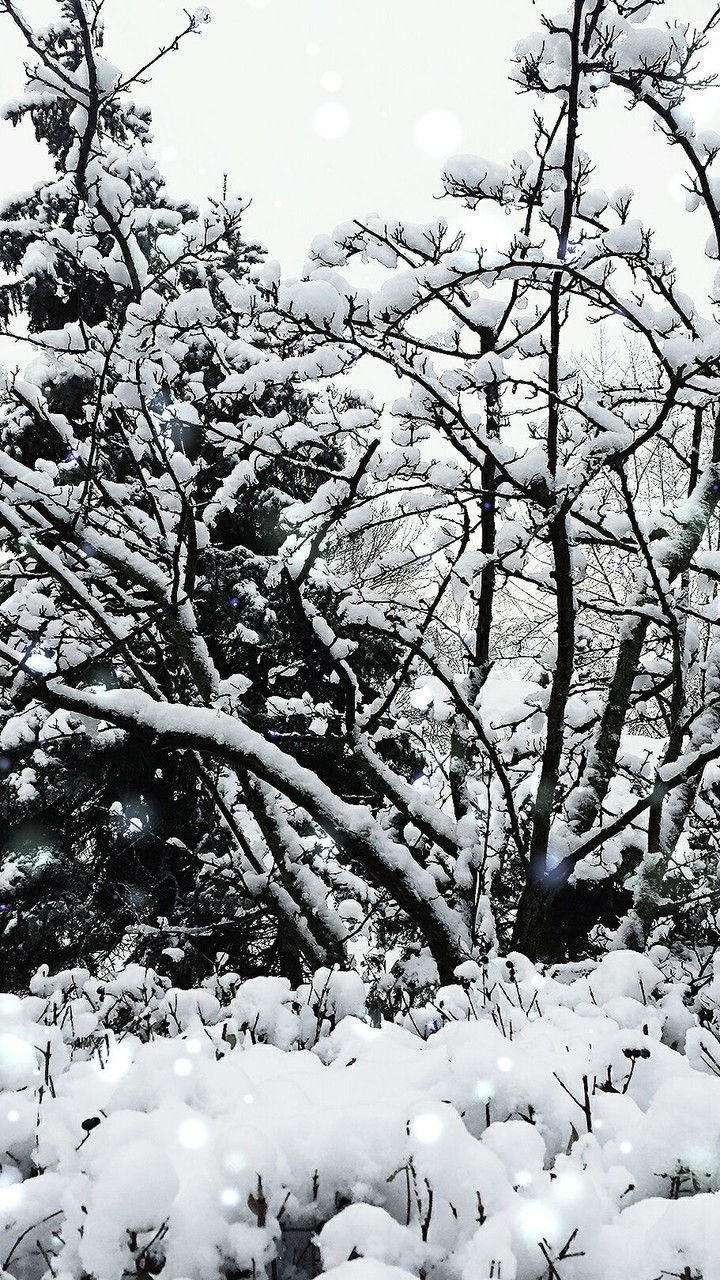 winter