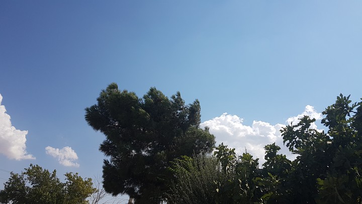 Gökyüzü