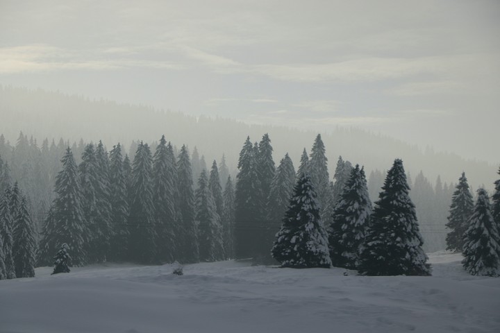 Nature