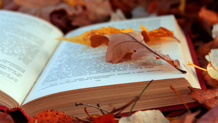 Book