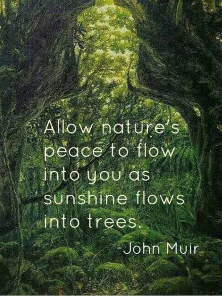 love with nature.?