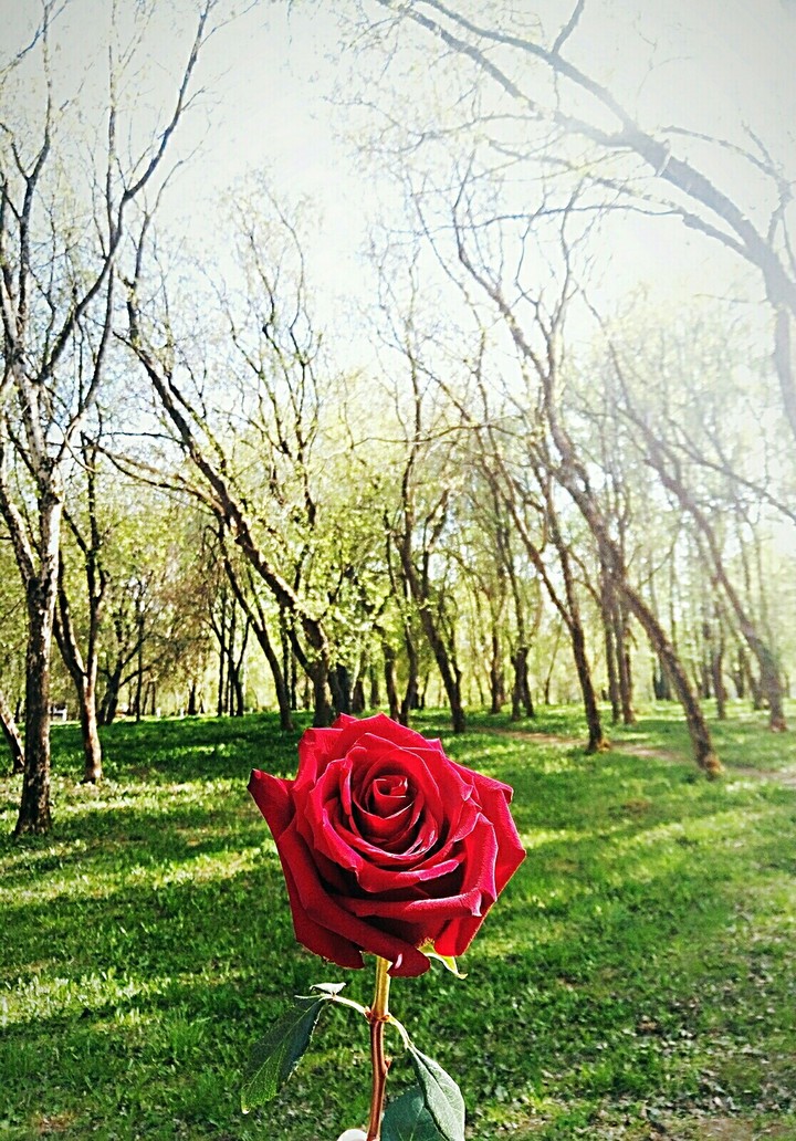 Природа