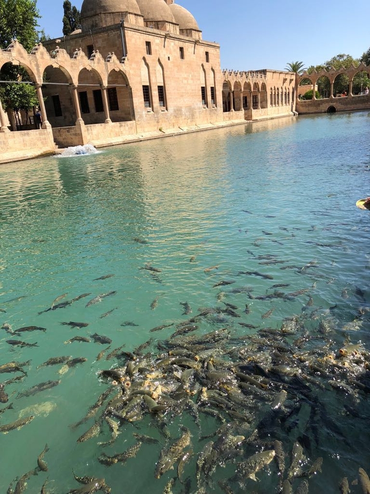 şanlıurfa balıklı göl