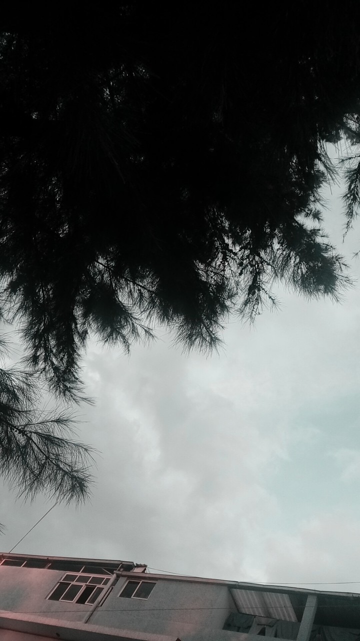 Gray life