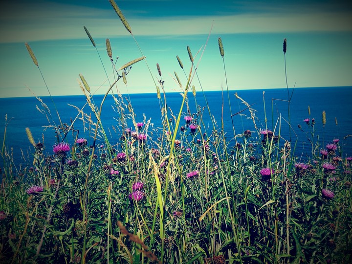 Beauty Is Everywhere