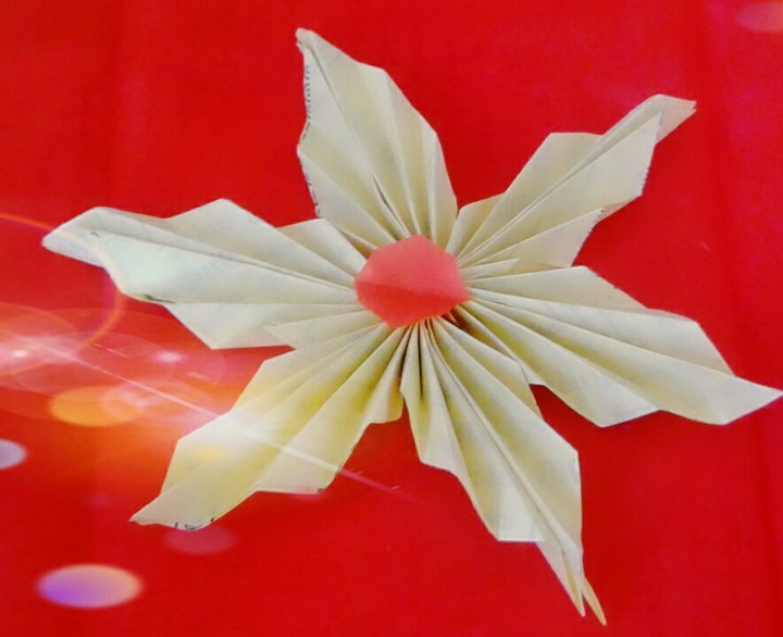 paper flower..