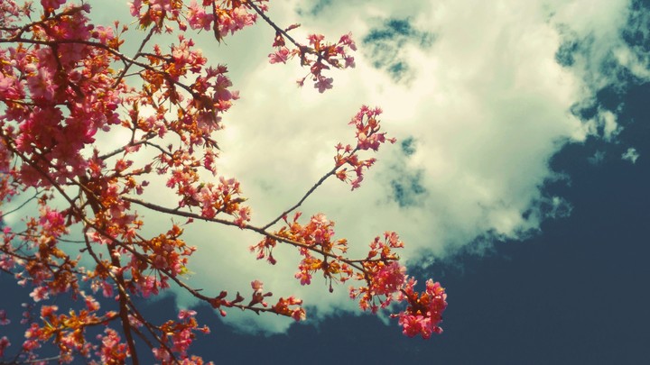 spring is coming!