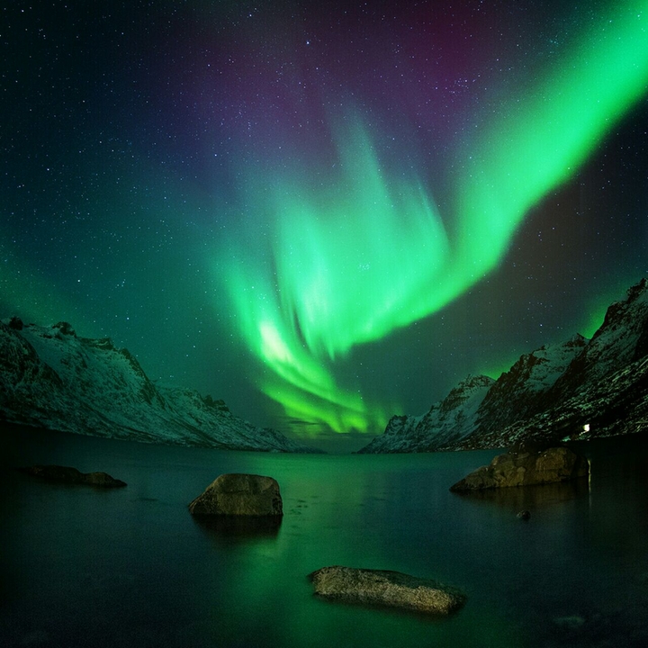 boreal