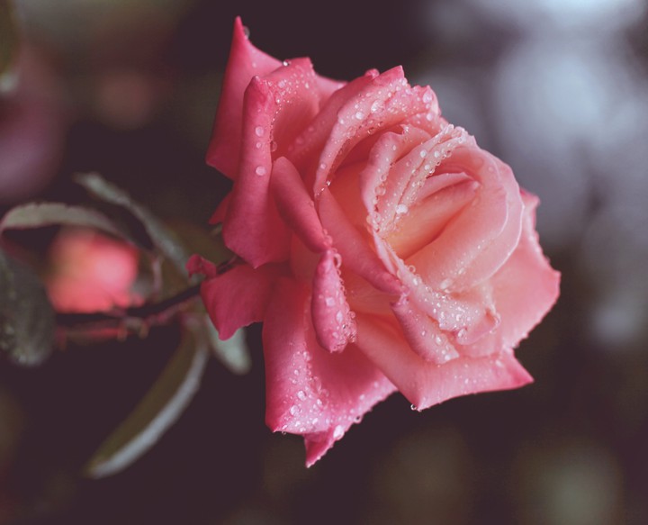 ❤~~❤