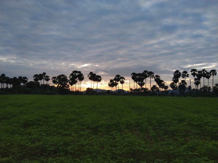 evening