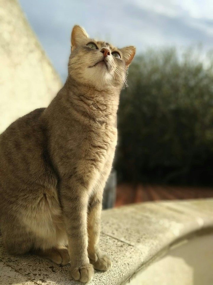 Il mio tesoro ❤❤❤