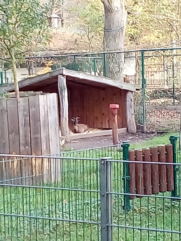 Sie haben sich versteckt.