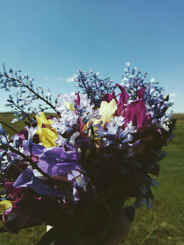 wildflowers