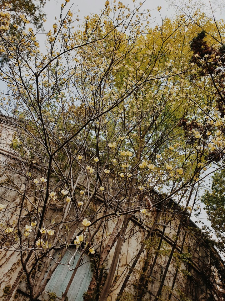 abc