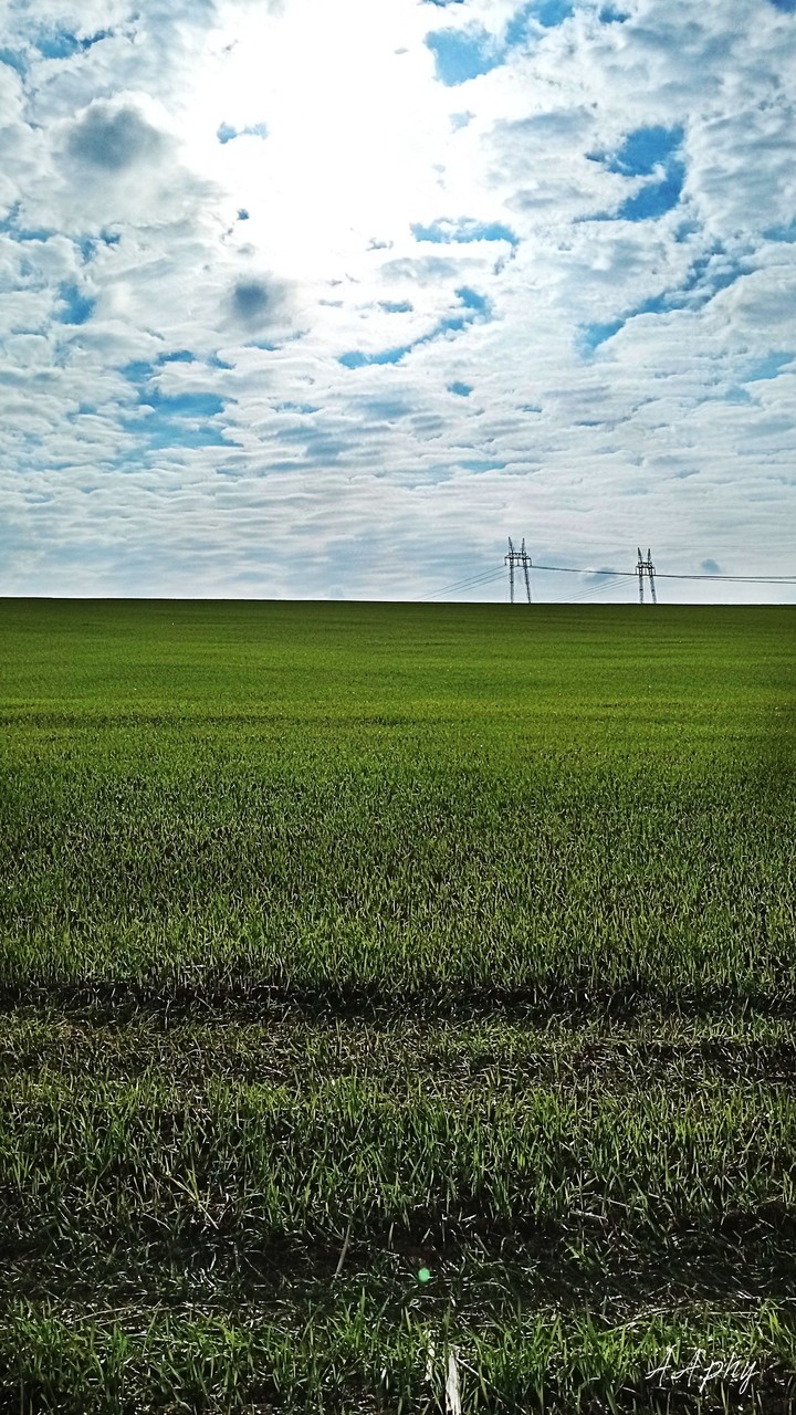 Bulgaria