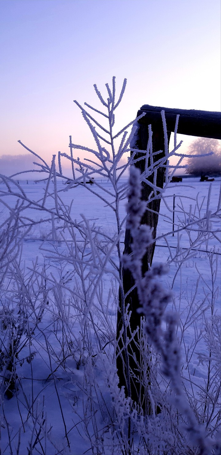 Winterwonderland