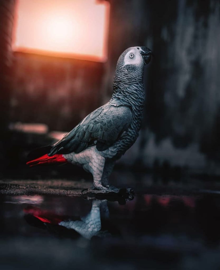 ➧⟩ मासूम♡प्रिये  ⟨
( Ꮇɑsσσɱ♡ℙɾíу℮ )▸◡̈⃝
【Indra ID :–@masoom_