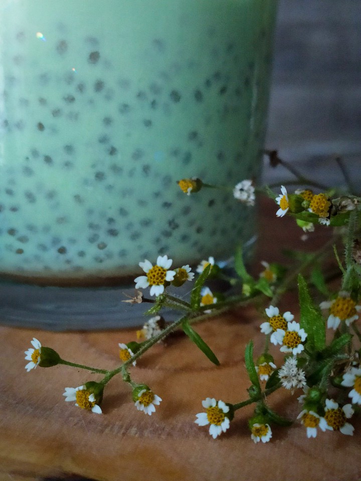 chia