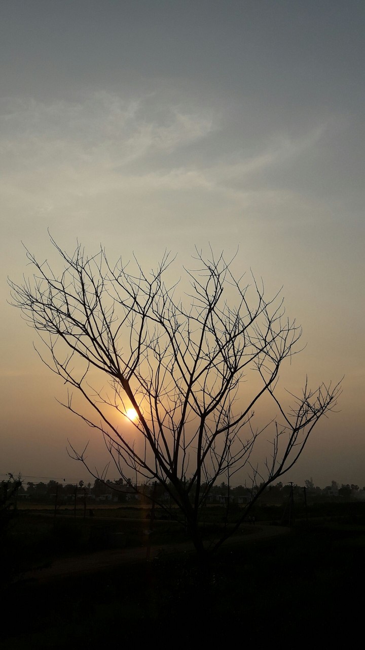 llife is beutyfull