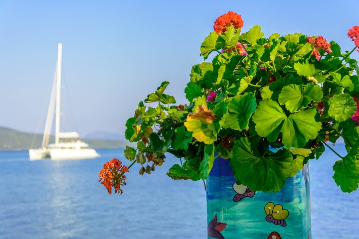 Green & Blue.....