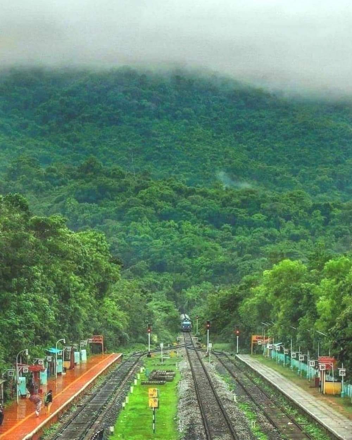 india ❤️