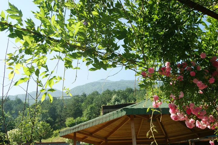 Bursa Uludağ