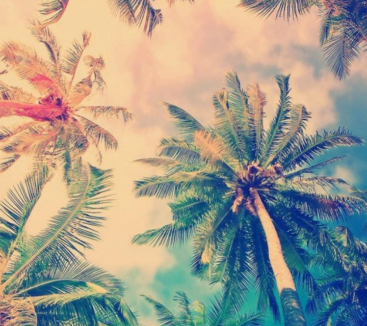☀SuMmEr