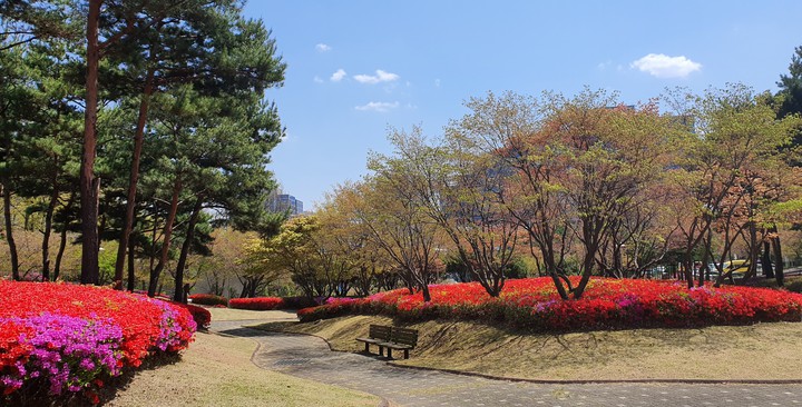 resting place(쉼터)