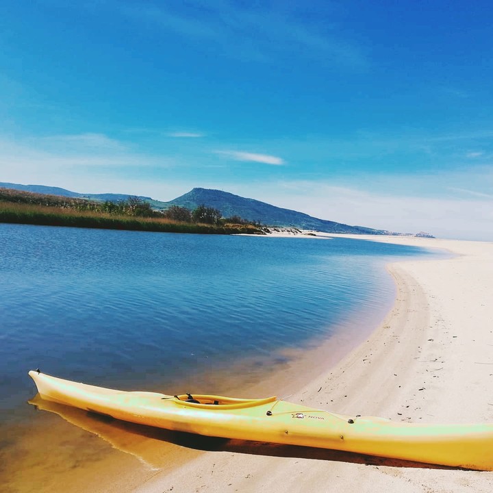 kayak