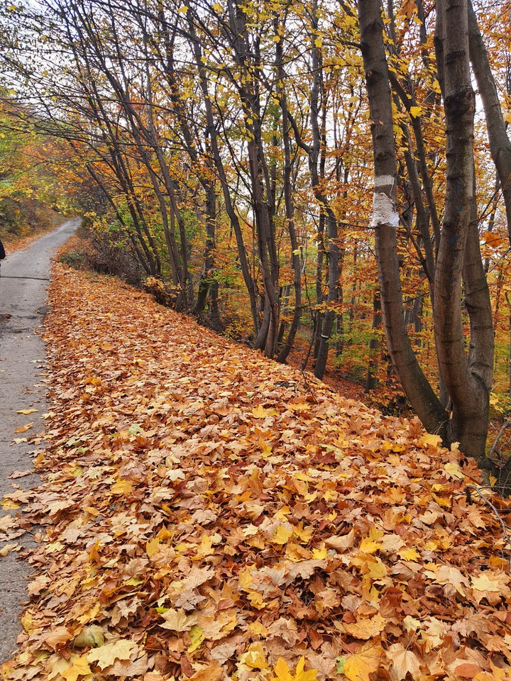 Bulgarian autumn