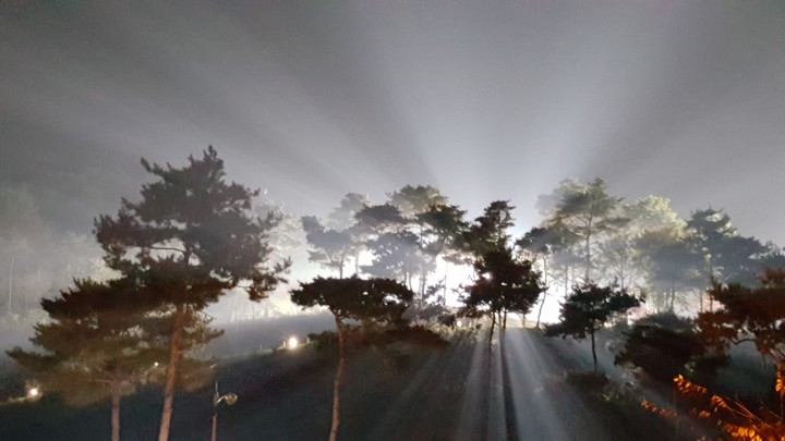 빛