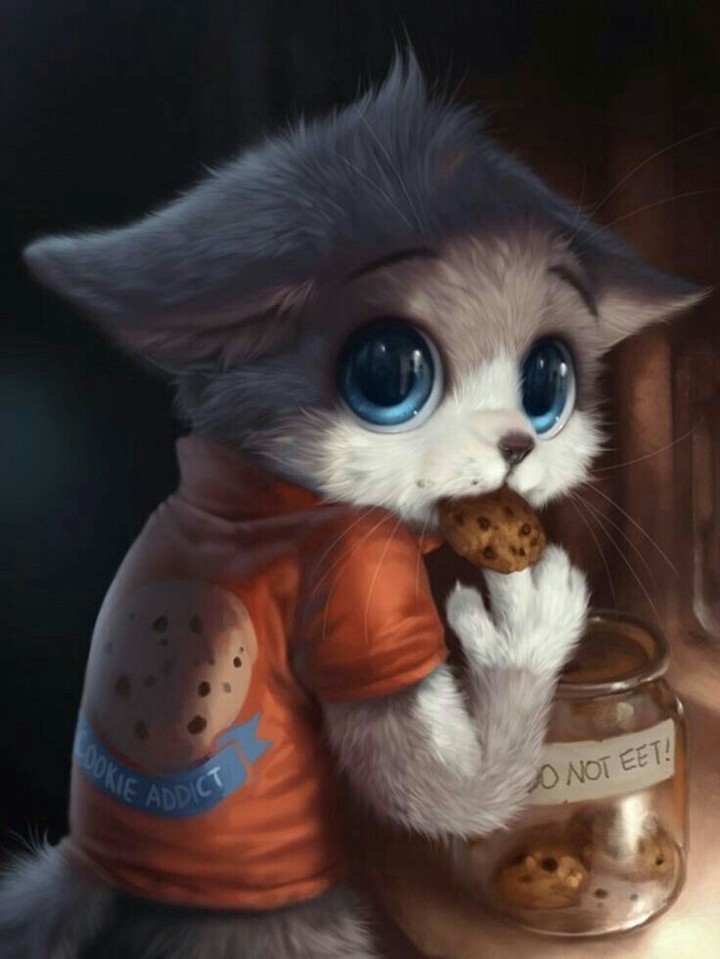 cat