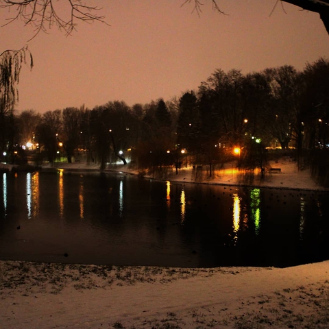 Winter