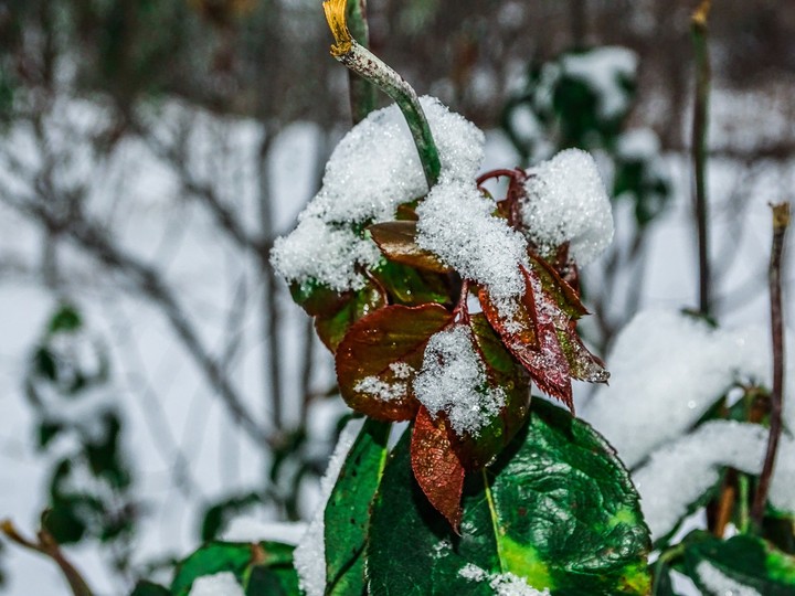 #winter