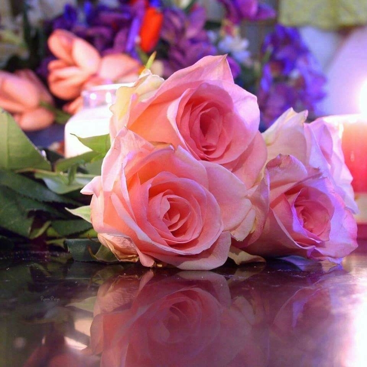 roses