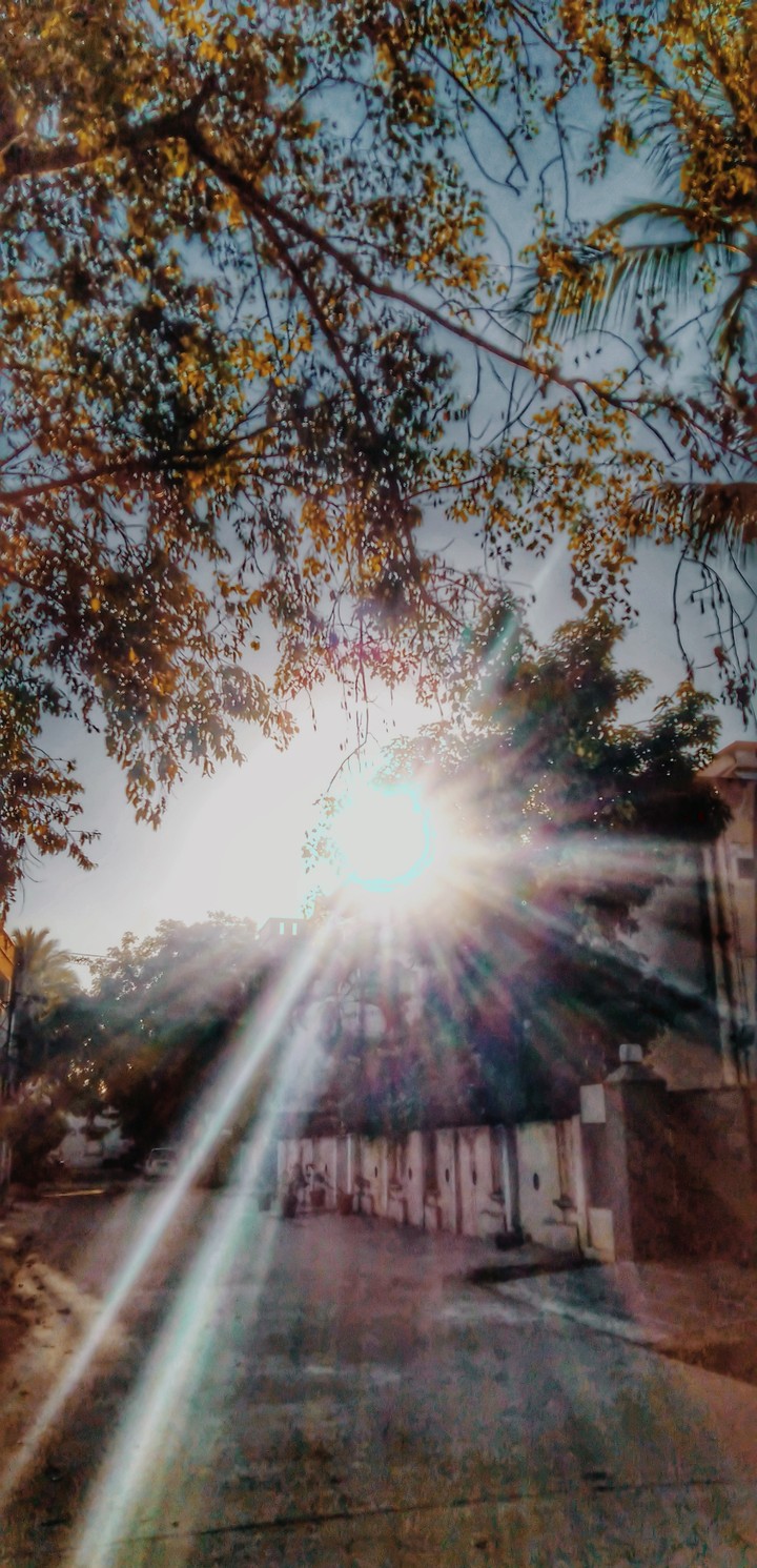 sunrise