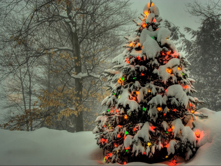 winter