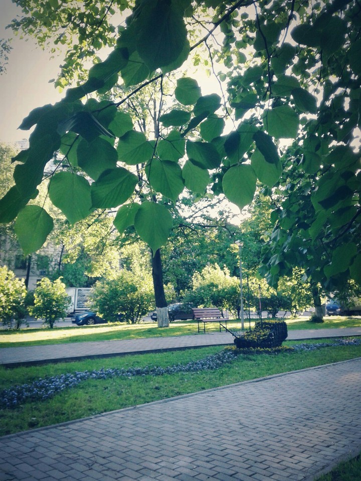на природе #2