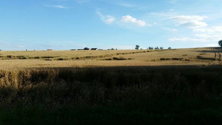 Fields