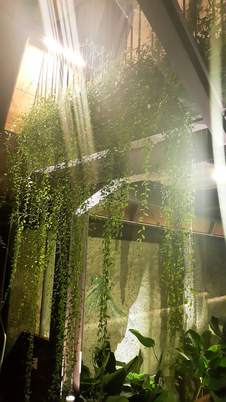 light
