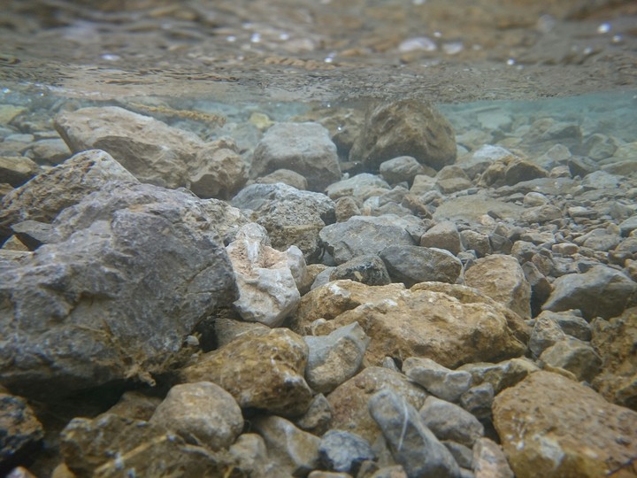 underwater