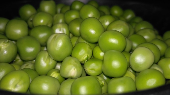 Green Mutter...