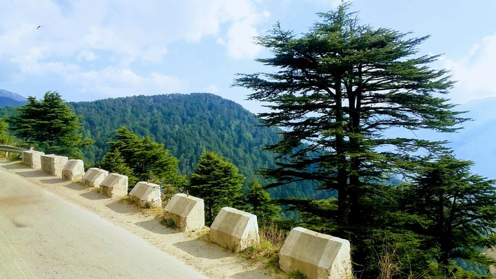 Road Side