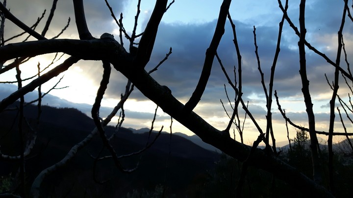 tramonto